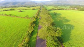 Carretera recta con paisajes en Latino américa