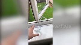 This young guy attempted a ‘bottle flip challenge’ and absolutely SMASHED it