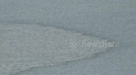 Suspected 'oil slick' spotted on Devon coast turns out to be river water