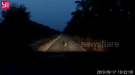 An owl greeting us back