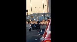 Runaway dog holds up traffic on motorway in Thailand