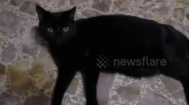 Get That Camera Outta My Face