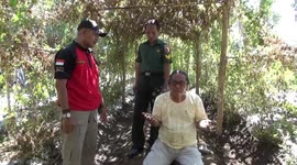 Strange case of man in Indonesia who can summon bees by meditating