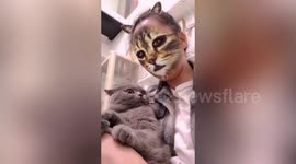 Cats give hilarious reactions when they see feline filter on owners' faces