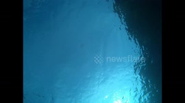 Mesmerizing moment with a jellyfish in the Mediterranean Sea