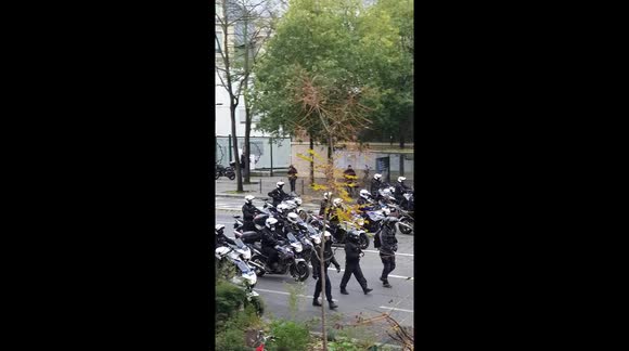 Major display of police force in Paris for 'yellow vest' protest anniversary