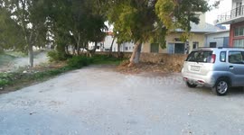 Newborn puppies found in rubbish can