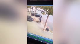 Wild boar charges at pedestrians and vehicles in northern China