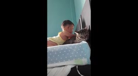 Kind Baby Gives Pet Cat A Massage