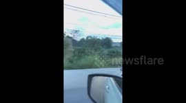 Motorcyclist rides with Golden Retriever dog in his lap