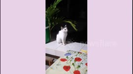 do not disturb me i'm focusing