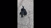 temp