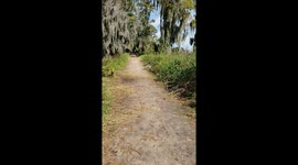 Close Encounter of the Reptile Kind