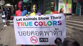 Protesters strip off outside Thai department store that has kept a gorilla on the top floor since 1993