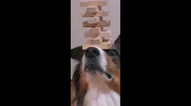 Rush carries the tower in balance