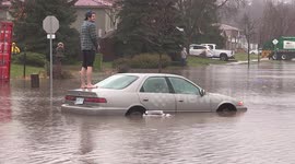Stranded driver stands barefoot on car roof during floods in Kitchener, Canada