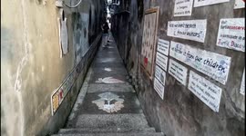 Turtle Alley in Malaysia is artistic reminder to public about endangerment to the species