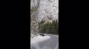 temp