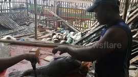 Plastic pollution removed from stomach of grouper fish in the Philippines