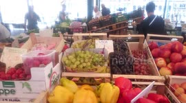 Little bird eating fruit at the Rialto Market in Venice
