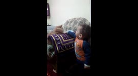 Crazy cat fight with baby