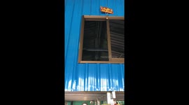 Cute Pet Pug Comes To Window To Say Hello