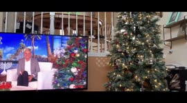 Funny and creepy moment Amazon's Alexa goes off while watching Ellen