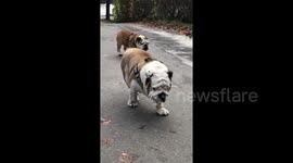 When You get that feeling..