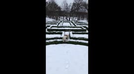 Going Your own way...Bullyway