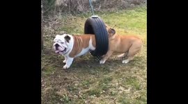 I’ll help You if Your stuck