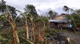 Typhoon Kammuri destroys homes in the Philippines with strong wind and rain