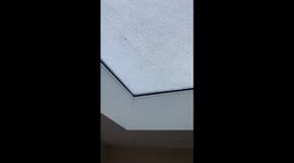 Not really how I expected my Monday morning to be like https://t.co/hfhXP1YrRh