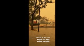 'This is not a filter': New South Wales bushfires turn sky yellow
