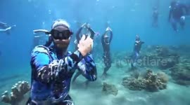 When I asked everyone at Deep Week to dance...