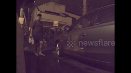 Tesla Sentry Mode surveillance system helps catch a vandal slashing tires