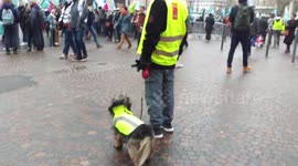 5 décembre 2019 Lille