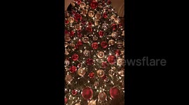 15th annual Christmas Tree