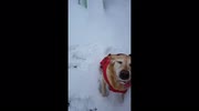 temp