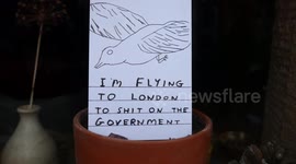 Election political humour: a postcard by David Shrigley in a house window in Wirksworth Derbyshire saying 