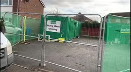 Window cleaner borrows his customers plant!