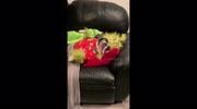 temp