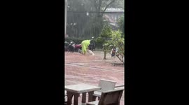 Heartwarming moment pupils carry disabled dog out of a rain storm