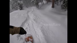 'I’d live in these trees if I could': Snowboarder films his passage through US forest in snowstorm