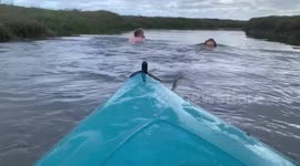 Canine powered kayak