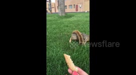 @TheEllenShow is always motivating me to be kind. Well this is where “be kind” got me. #bekind #rude #bleepbleep https://t.co/idER6lF1Vw