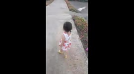 The little girl was attacked by a goose when she tried to approach it