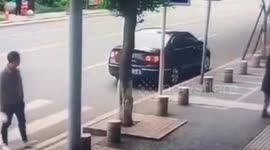 Chinese man pretends to be bit by dog and asks money from pet's owner