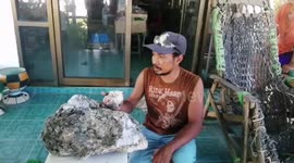 Beach scavenger finds lump of 'whale vomit' which could be worth half a million pounds