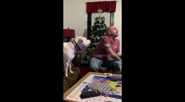 Look at me! Attention-hungry dog needs you to look at her in Ohio