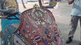 Thai man decorates motorcycle with thousands of expensive gems in tribute to country's late king